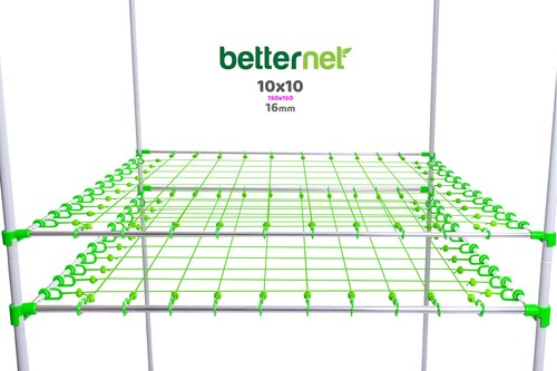 Rete scrog 10x10 - doppio, strato