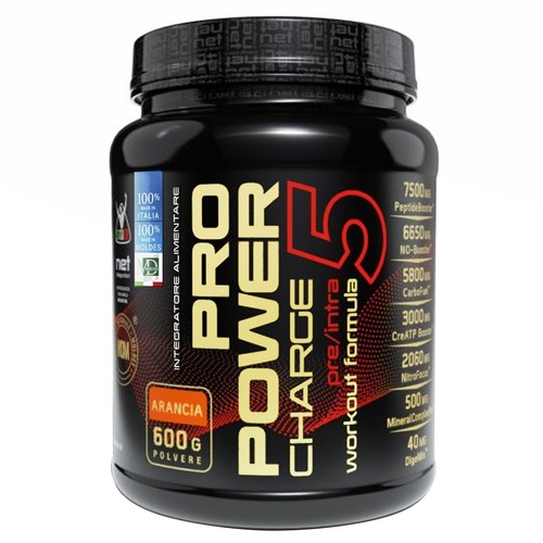 Net pro power charge 600 - charge, gr